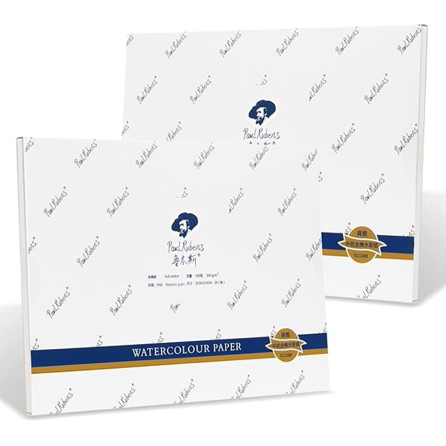 2 Pack Paul Rubens Artist Quality Watercolor Paper, Painting Paper Acid
