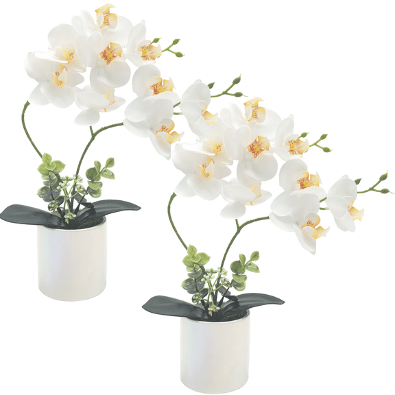 2-Pack Phalaenopsis Orchids Artificial Potted Plants  High-Quality Realistic Faux Flowers for Home Decor | Lifelike Artificial Flowers with Bendable Stems & Shiny Ceramic Planters
