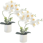 2-Pack Phalaenopsis Orchids Artificial Potted Plants   High-Quality Realistic Faux Flowers for Home Decor | Lifelike Artificial Flowers with Bendable Stems & Shiny Ceramic Planters