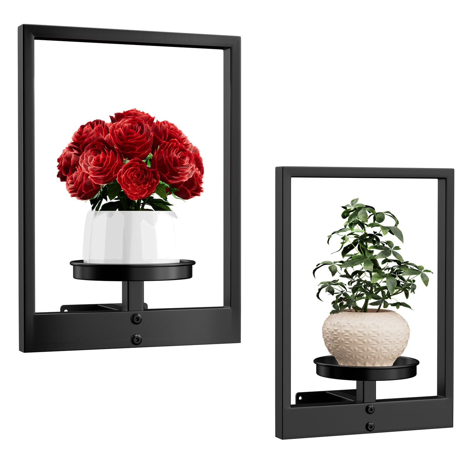2Pack Picture Frame Wall Plant Holder, Window Plant Metal Wall Hanging