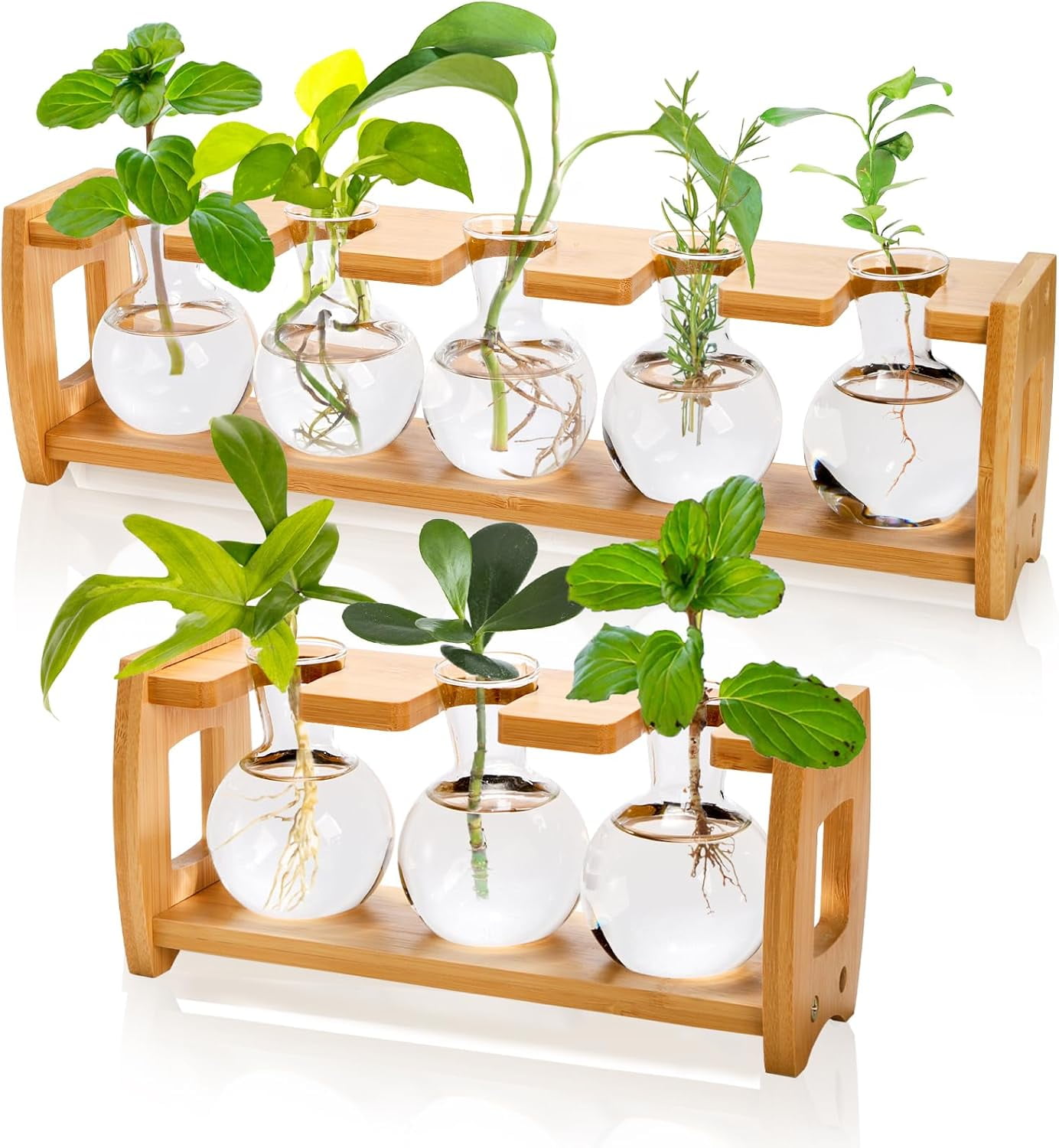 Propagation Plant Glass Stand Station Terrarium Kit Hydroponic Modern Wooden Plant Lovers Wall Hanger Stand Gift For Her Plant Gift Boho