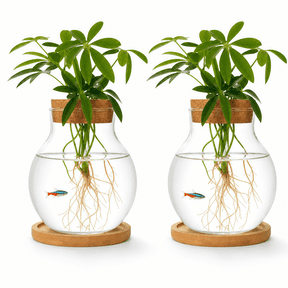 2 Pack Plant Propagation Stations with Wooden Saucers, Hydroponic Glass Vase Jars for Plant Cuttings, Tabletop Plant Propagation Station, Terrarium Decor for Home, Kitchen, Office
