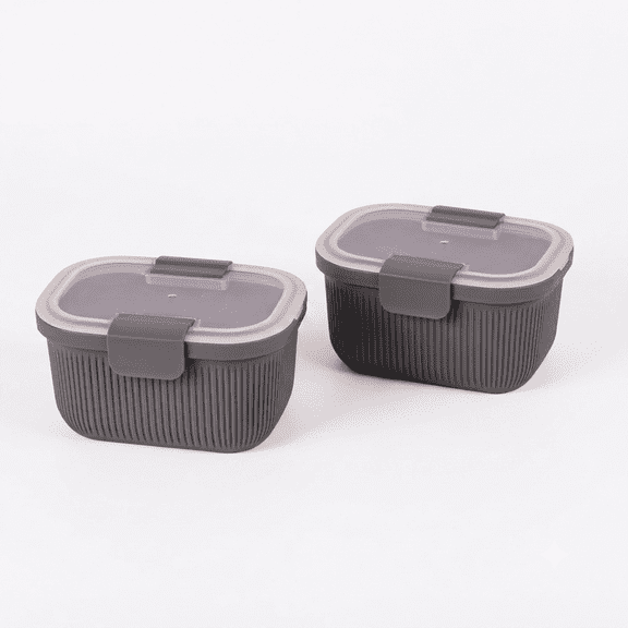(2 Pack) Plastic Food Storage Snack Container, Airtight, Grey, 19 oz Capacity, BPA-Free