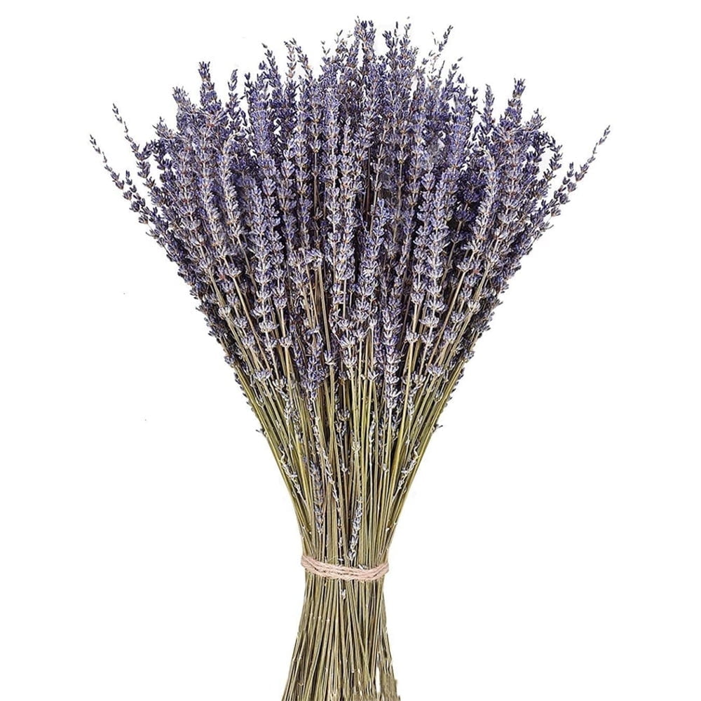2 Pack Pure Natural Dried Lavender Flowers,Dried Flower Bundles for DIY Craft,Perfect Gift for Girls Women,Real Dried Lavender Bouquet,for Farmhouse Garden Home Decor