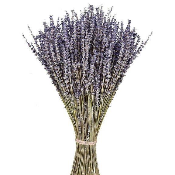 2 Pack Pure Natural Dried Lavender Flowers,Dried Flower Bundles for DIY Craft,Perfect Gift for Girls Women,Real Dried Lavender Bouquet,for Farmhouse Garden Home Decor