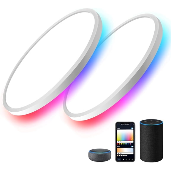 2 Pack RGB Smart Ceiling Light, Super Slim LED Flush Mount Ceiling, WiFi Compatible with Alexa Google Home,12-Inch 24W Dimmable 2700K-6500K for Bedroom, Kitchen, Dining Room, Basements