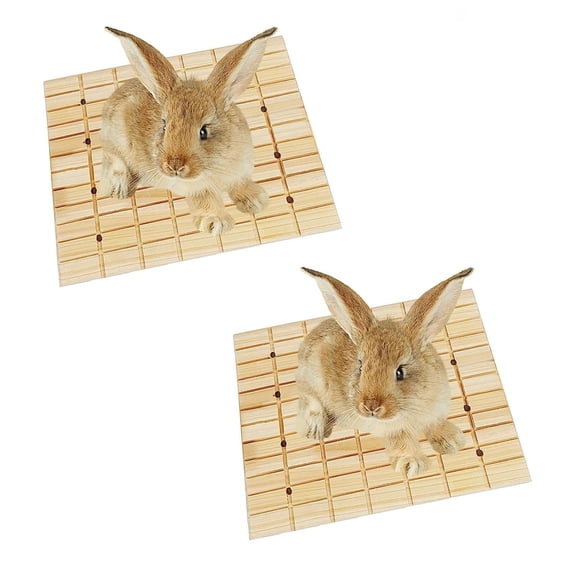 2 Pack Rabbit Wooden Scratch Board - Bunny Foot Pad, Teeth Grinding Toys for Small Animal - 10.62" x 7.87"