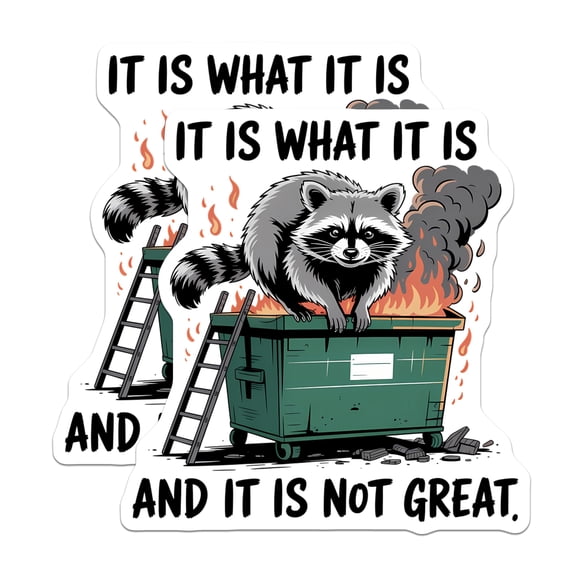 (2 Pack) Raccoon Dumpster Fire Magnets - It is What It is Not Great - Funny Meme Refrigerator Decal - 5 Inches On Longest Side - Thick Durable Magnet - Made in USA - MAG20930