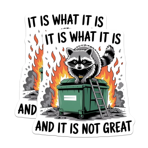 (2 Pack) Raccoon Dumpster Fire Magnets - It is What It is Meme - Funny Animal Kitchen Decor - 5 Inches On Longest Side - Thick Durable Magnet - Made in USA - MAG22419