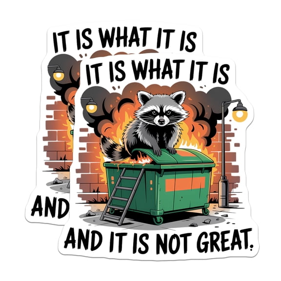 (2 Pack) Raccoon Dumpster Fire Magnets - It is What It is Meme - Sarcastic Animal Humor - 5 Inches On Longest Side - Thick Durable Magnet - Made in USA - MAG22564