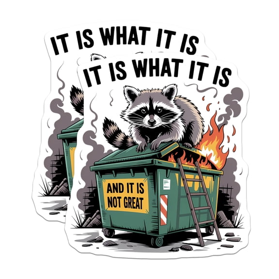 (2 Pack) Raccoon Dumpster Fire Magnets - It is What It is Meme - Sarcastic Refrigerator Magnets - 5 Inches On Longest Side - Thick Durable Magnet - Made in USA - MAG22649