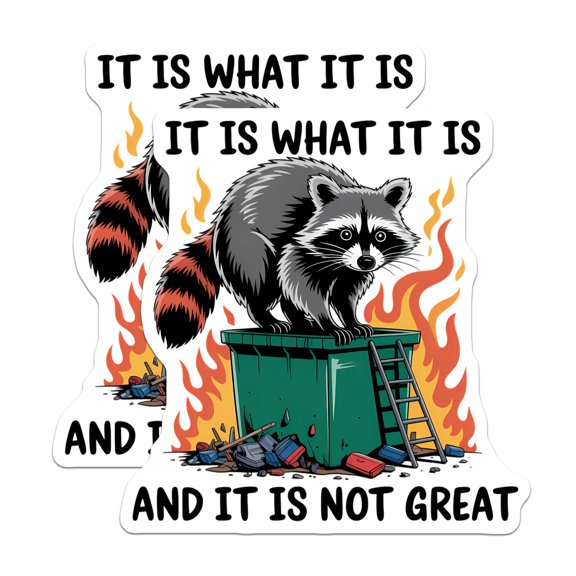 (2 Pack) Raccoon Dumpster Fire Stickers - Sarcastic Meme Quote - Relatable Chaos Humor - 5" On Longest Side - Sticks to Smooth Flat Surfaces - Made in USA - BMCS20503