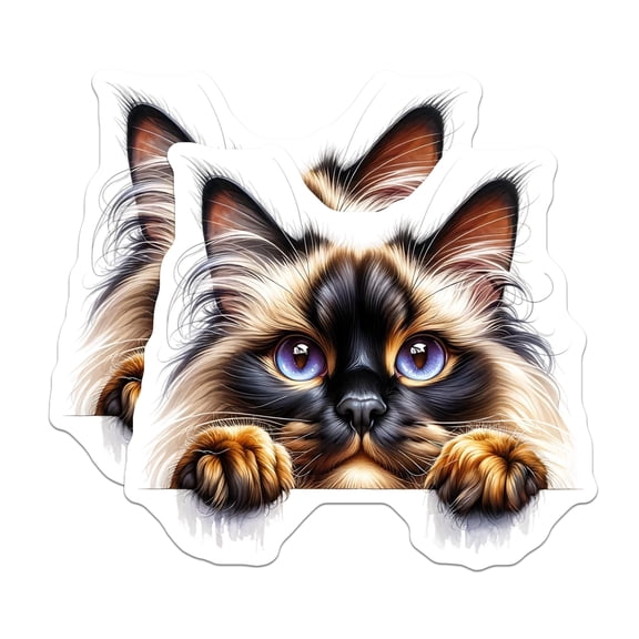 (2 Pack) Ragdoll Cat Magnets - Cute Kitten Art - Refrigerator Magnets - 5" On Longest Side - Premium Magnet - for Cars, Refrigerators, Toolboxes, Lockers - Made in USA - MAG16375