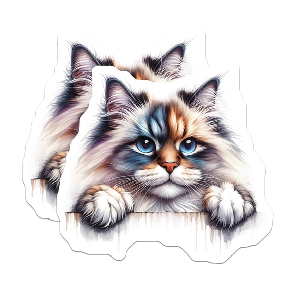 (2 Pack) Ragdoll Cat Magnets - Cute Kitten Fridge Magnets - Pet Lover Decor - 5" On Longest Side - Premium Magnet - for Cars, Refrigerators, Toolboxes, Lockers - Made in USA - MAG14207