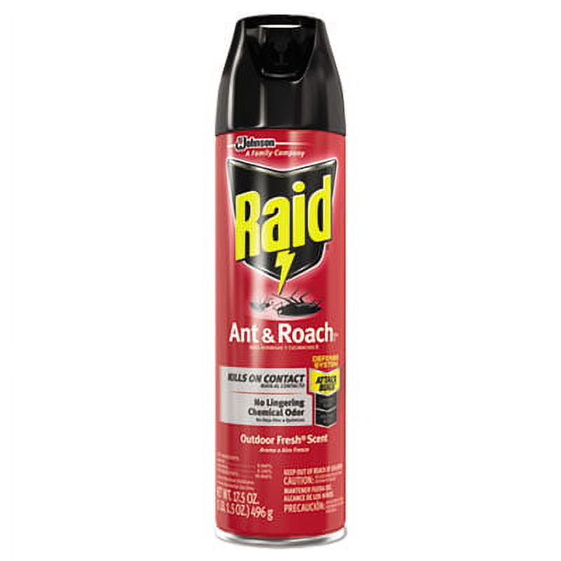 2 Pack - Raid Ant & Roach Spray Outdoor Fresh 17.50 oz