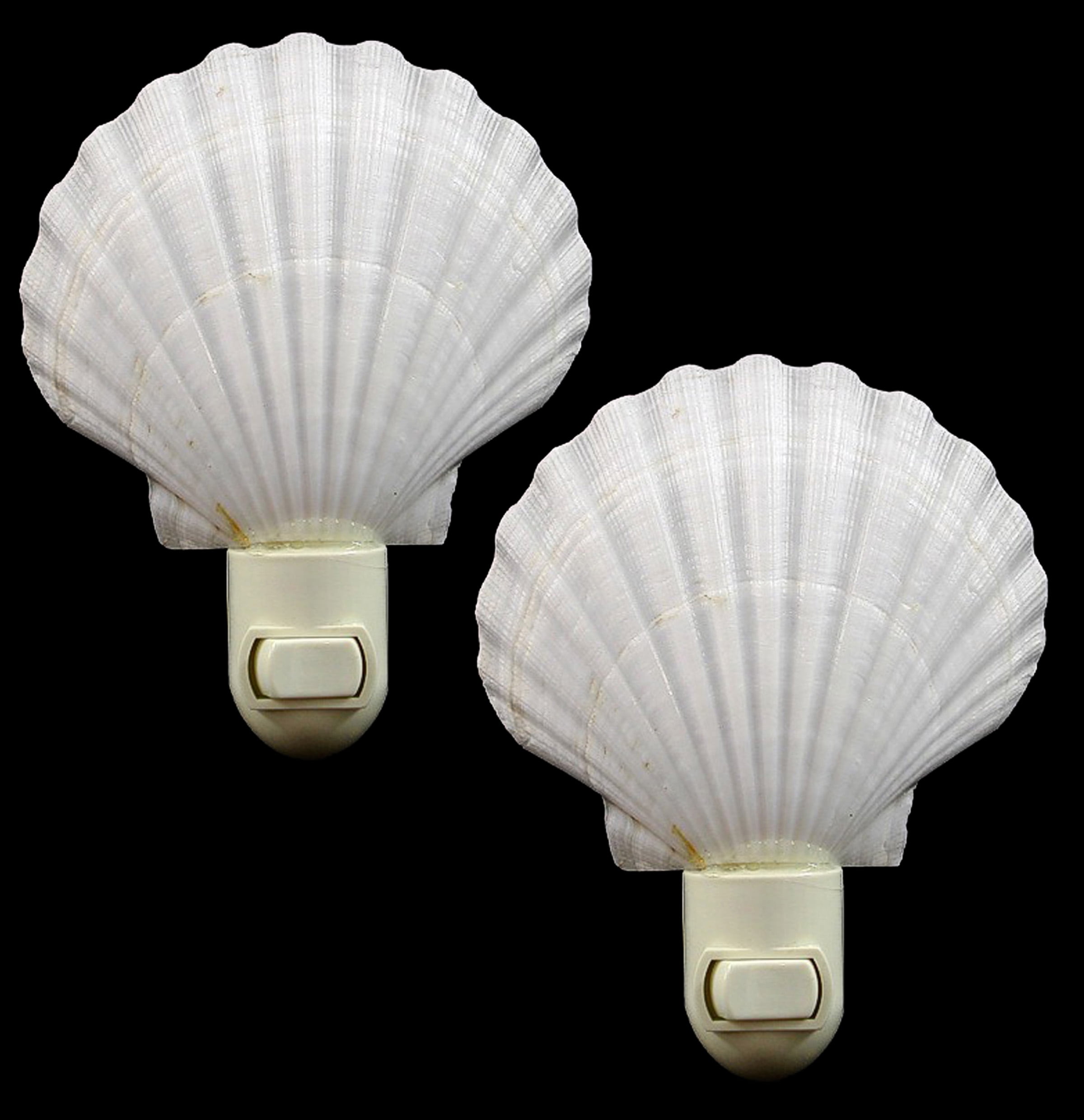 2 Pack Real Seashell Night Light White Scallop Shell Decorative Beach