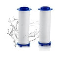2 Pack Replacement Filters For Shower Heads Reducing Water Purifier