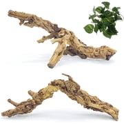 2PCS Reptile Wood Branches, Snake Climbing Branch Natural Bearded Dragon Log Tank Accessories Tree Trunk for Chameleon Gecko Snake Frog Spider