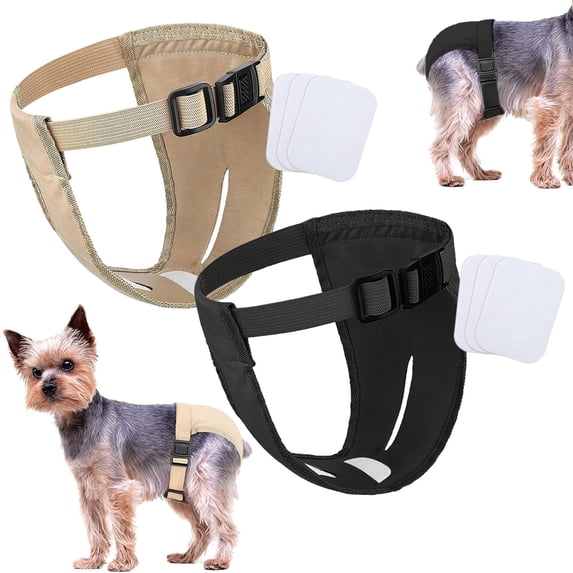 2 Pack Reusable Dog Diapers Washable - Breathable Mesh Sanitary Briefs for Female Dogs (3 Pads Included) | Leakproof Pet Underwear for Heat Cycle & Potty Training, 2 packs, XS