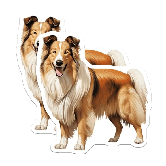 (2 Pack) Rough Collie Stickers - Collie Dog Decal - Pet Portrait Art - Dog Mom Dad - Animal Lover Item - 5" On Longest Side - Sticks to Smooth Flat Surfaces - Made in USA - BMCS28837