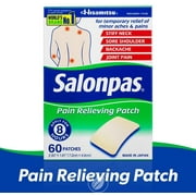 (2 Pack) Salonpas Pain Relieving Patches, 60 Count