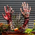 thumbnail image 1 of 2 Pack Scary Hands Lawn Stakes Halloween Decor Outdoor Garden Decor Zombie Graveyard Decor Perfect for House Party, Halloween Party, Garden Party, Outdoor Party (2D Flat), 1 of 8