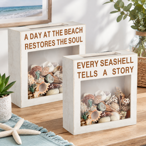 2 Pack Seashell Display Box Retro White Story, 10.63 x 10.55 x 6.97 Inches