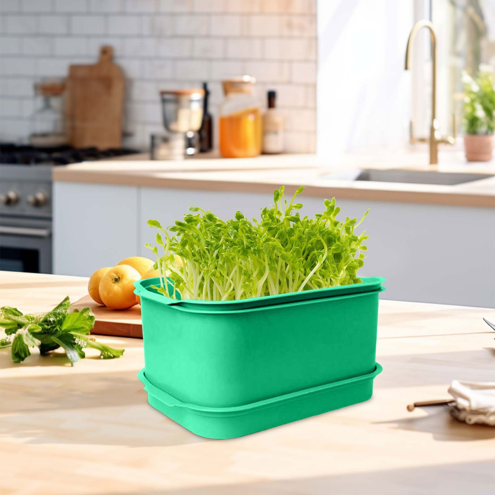 2 Pack Seed Sprouter Tray - Bean Sprouts Grow Kit - Nursery Tray Seed ...