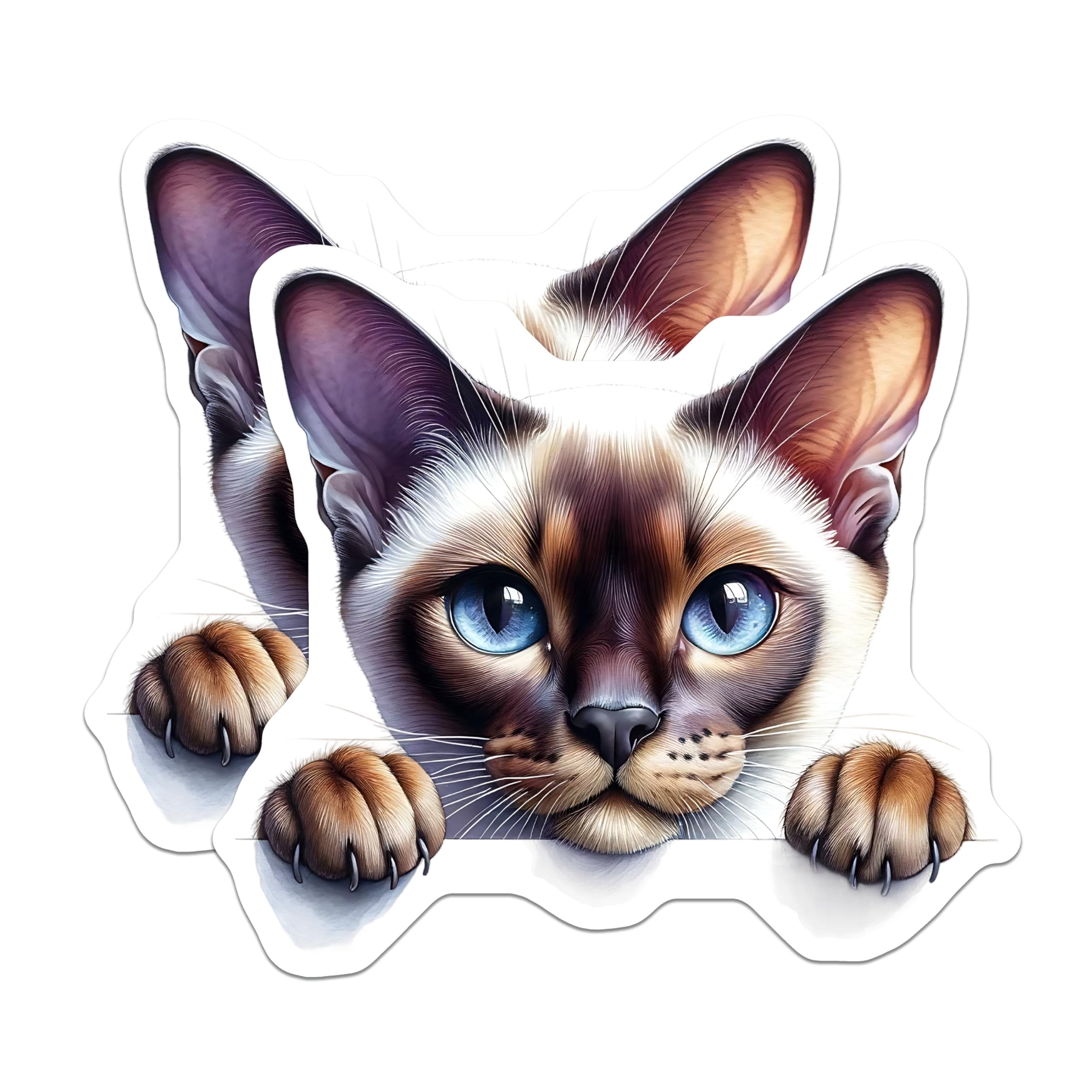 Siamese Sticker (2 Pack) Siamese Cat Stickers - Adorable Kitty Decals - Blue Eyed Pet ...