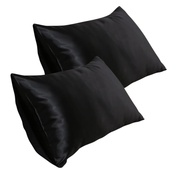 2 Pack Silk Pillowcase for Hair and Skin, 20*30 Inch Soft Breathable Smooth Cooling Mulberry Silk Pillow Case Set of 2, Both Sides Grade 6A Silk Pillow Covers for Gift,Holiday Decor