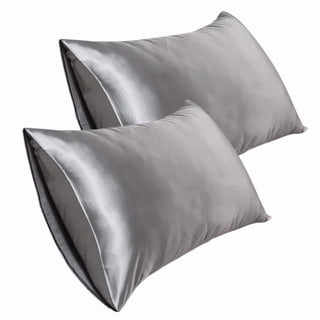 2 Pack Silk Pillowcase for Hair and Skin, 20*30 Inch Soft Breathable Smooth Cooling Mulberry Silk Pillow Case Set of 2, Both Sides Grade 6A Silk Pillow Covers with Hidden Zipper for Gift
