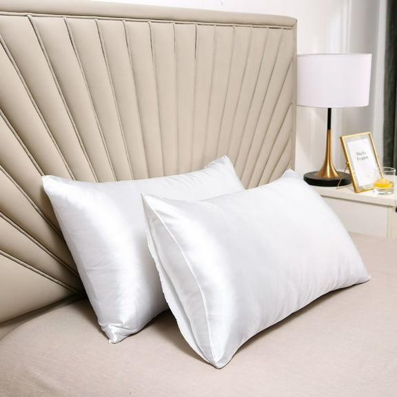 2 Pack Pillowcase for Hair and Skin, 20*30 Inch Soft Breathable Smooth Cooling Mulberry Pillow Case Set of 2, Both Sides Grade 6A Pillow Covers with Hidden Zipper for Gift