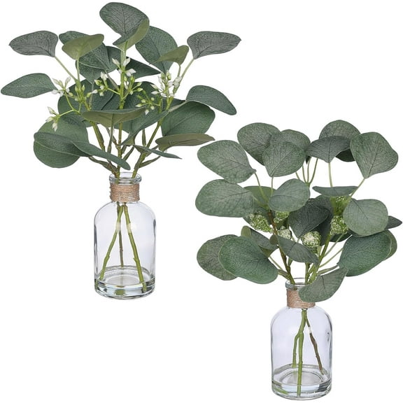 2 Pack Small Fake Plants Euc PottedArtificial Stems in Glass Vase with Faux Water for Shelf Desk Bathroom Farmhouse Room Office Coffee Table Kitchen Home Decor (Green)
