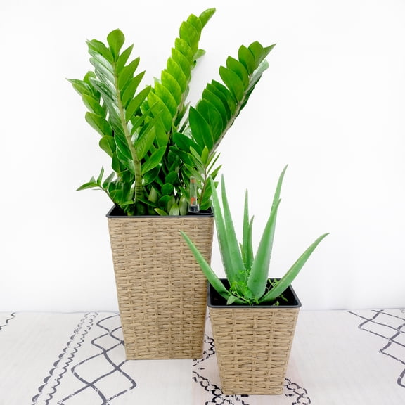 2-Pack Smart Self-Watering Square Planter for indoor and Outdoor - Hand Woven Wicker - Brown