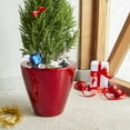 thumbnail image 1 of 2-Pack Smart Self-watering Planter Pot for Indoor and Outdoor - Red - Round Cone, 1 of 5