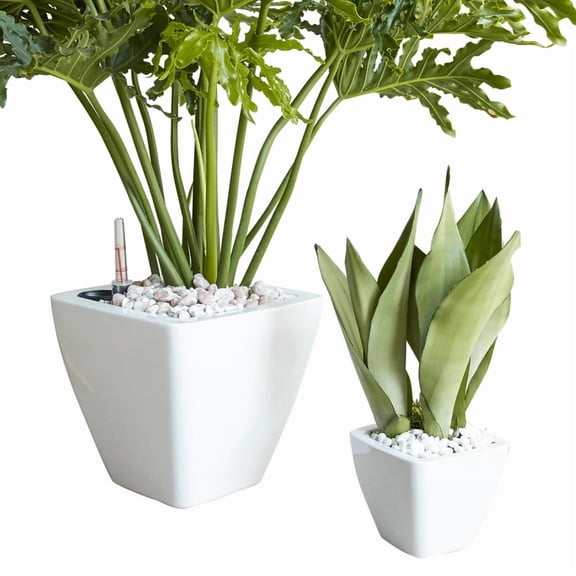 2-Pack Smart Self-watering Planter Pot for Indoor and Outdoor - White - Square Cone