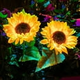 thumbnail image 1 of 2 Pack Solar Powered Sunflower Light Outdoor,Solar Garden Lights,Artificial Sunflower Solar Landscape Lighting for Patio Garden Yard Lawn Path, 1 of 9