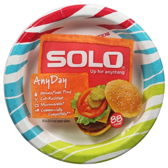 ( 2 Pack ) Solo Paper Plates, Any Day, 10 Inch, 88 Count