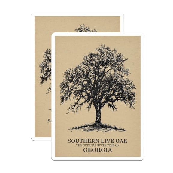 (2 Pack) Southern Live Oak Magnets - Georgia State Tree - Botanical Illustration Art - Nature Tree Sketch Decor - 5 Inches On Longest Side - Thick Durable Magnet - Made in USA - MAG19407
