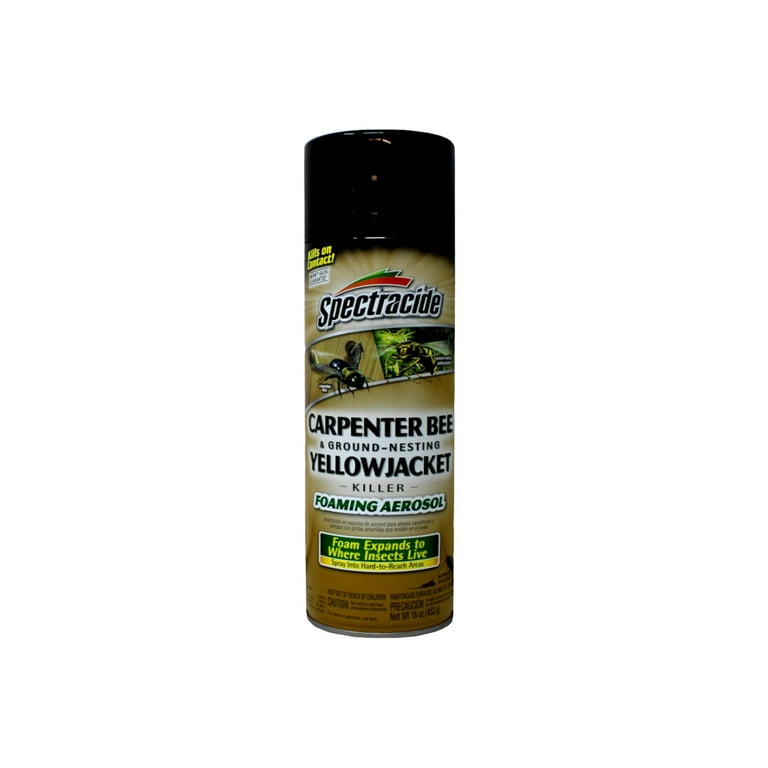Spectracide 2 Pack Carpenter Bee and Yellowjacket Killer Spray