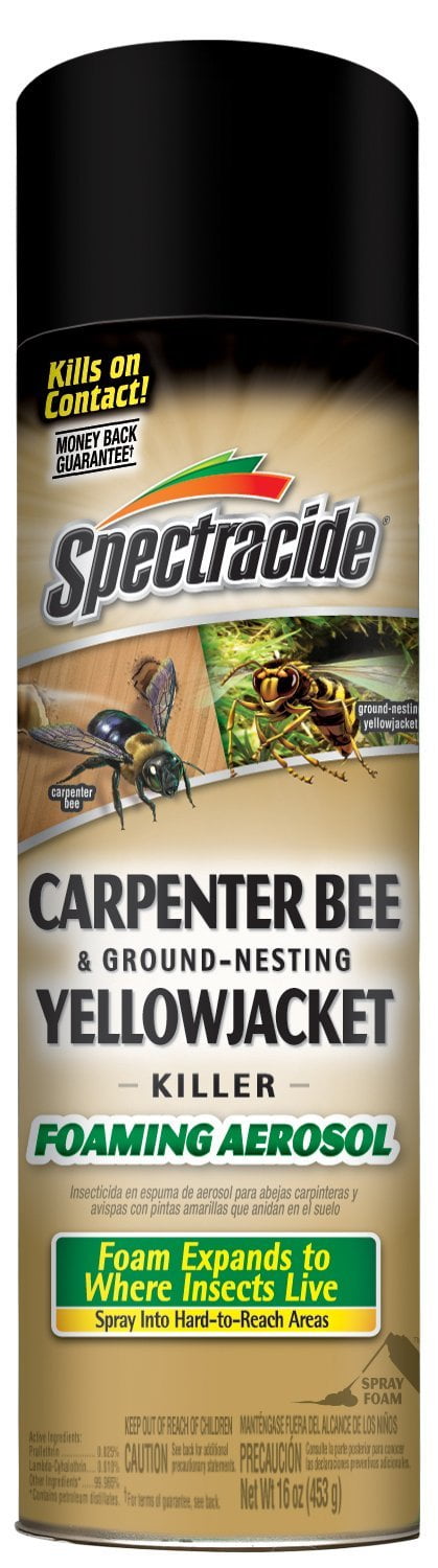 2 Pack Spectracide Carpenter Bee & Nesting Yellowjacket Killer Spray 16oz Each