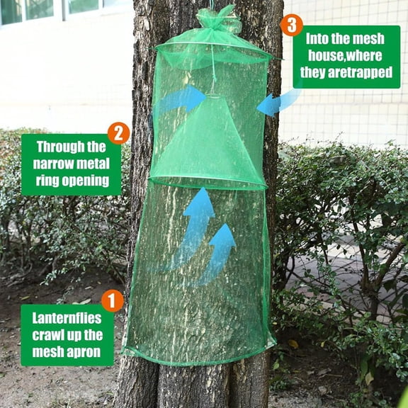 2 Pack Spotted Lanternfly Traps Lantern with Rope and Nails Effective Way to Catch Lantern Flies and Nymphs Set 2