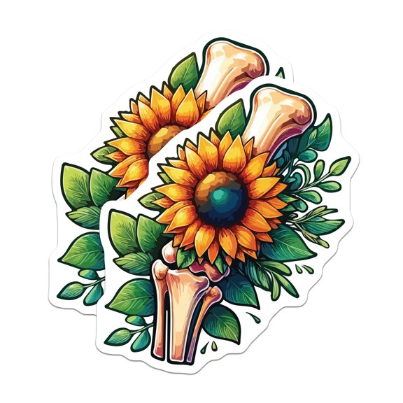 (2 Pack) Sunflower and Human Bone Stickers - Anatomical Flower Art - Unique Floral Skeleton - 5" On Longest Side - Sticks to Smooth Flat Surfaces - Made in USA - BMCS20092