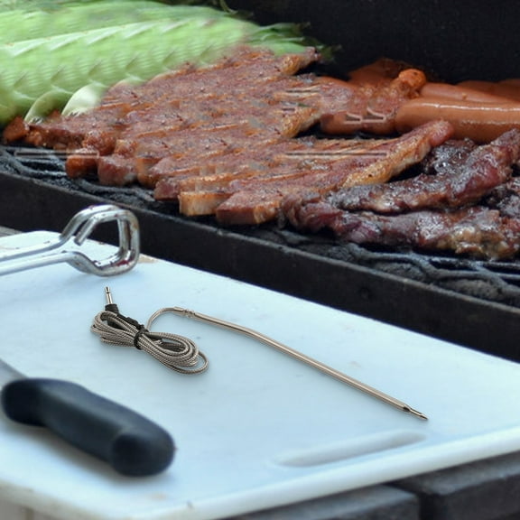 2 Pack Thermometer Meat Probe & Clip for Thermopro TP25 TP27 stainless steel