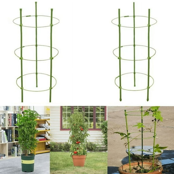 2-Pack Tomato Cage Plants Support, Trellis Climbing Ring Cage Stand for Pepper Eggplant Tomato Flowers