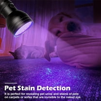 2-Pack UV Flashlight Black Light, 51 LED 395nm Ultraviolet Flashlight Blacklight, Pet Urine Detector Light for Dog and Cat Urine, Pet Stains