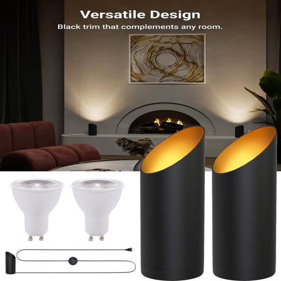 2 Pack Uplighting Indoor Floor Can Lights,Modern LED Floor Can Lamp, RGB Color Changing Uplight Spotlight with App Control & Timed on/off, Indoor Accent Light for Wall Artwork