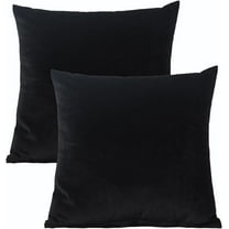 2 Pack Velvet Throw CoverSofa Pillowcases for Couch Pillows BedRoom