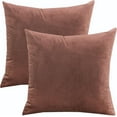 thumbnail image 1 of 2 Pack Velvet Throw CoverSofa Pillowcases for Couch Pillows BedRoom, 1 of 9