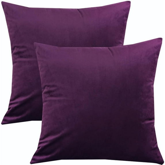 2 Pack Velvet Throw CoverSofa Pillowcases for Couch Pillows BedRoom